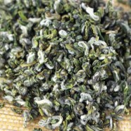 临海蟠毫茶