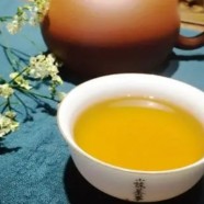 通天岩茶产地
