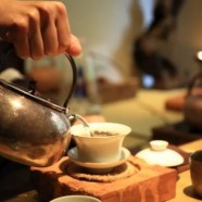 凌云白毫茶能放多久