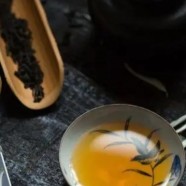 千岛银珍是什么茶