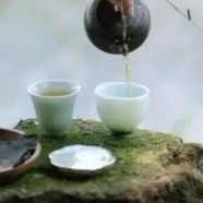 象棋云雾茶制作工艺