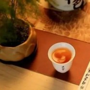 大鄣山云雾茶如何冲泡