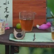 钱塘龙井的产茶区域