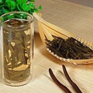 水西翠柏怎么样