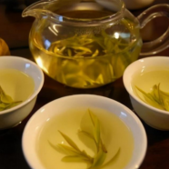 月光白属于白茶还是普洱茶呢