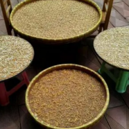 金银花茶的制作方法是什么