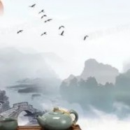 保康松针功效