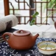 怎么看金山翠芽的等级
