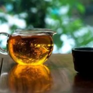 水西翠柏发展