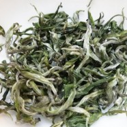 保靖黄金茶