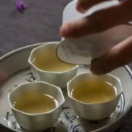 保靖黄金茶特点