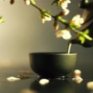 英德绿茶的功效与作用