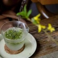 太湖翠竹茶的功效和作用