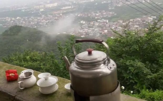 保靖黄金茶怎么样.jpg 保靖黄金茶怎么样.jpg
