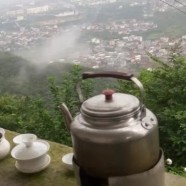 保靖黄金茶怎么样