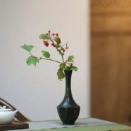 英德绿茶属于什么档次