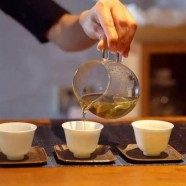南山寿眉属于什么茶
