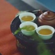 宝顶雪芽是什么茶