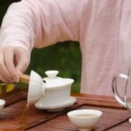 贵定云雾茶多少钱一斤