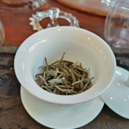 白毫银针多少度水泡合适