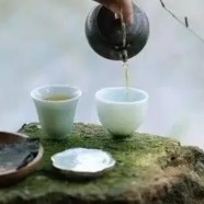 宝顶雪芽的功效与作用