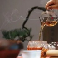 白马毛尖茶多少钱一斤