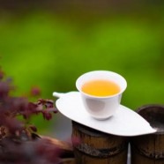 九龙茶的功效