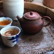 南山寿眉是什么茶
