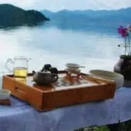 龙岩斜背茶属于什么茶