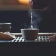 官庄毛尖属于什么茶