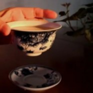 九龙茶属于什么茶叶