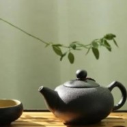 南山寿眉介绍