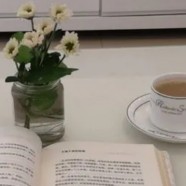 无锡毫茶大概多少钱一斤