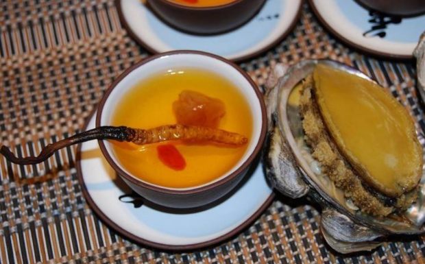 蛹虫草茯茶虫草茶怎么喝.png 蛹虫草茯茶虫草茶怎么喝.png