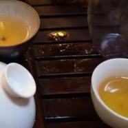 井岗翠绿是绿茶吗