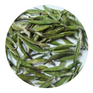 仙人掌茶的外形.jpg 仙人掌茶的外形.jpg