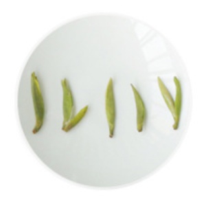 仙人掌茶的叶底.jpg 仙人掌茶的叶底.jpg