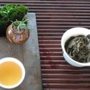 双桥毛尖绿茶有哪些保健养生的功效和作用