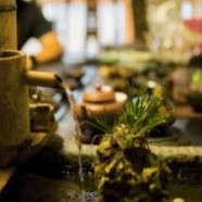 上饶白眉是绿茶么