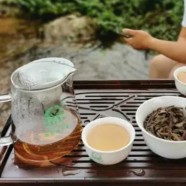 清溪玉芽多少钱