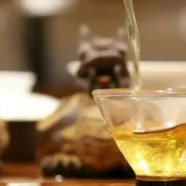 蒙顶山茶价格