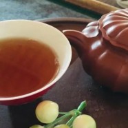 狗牯脑茶叶最贵多少钱一斤