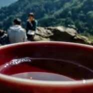 古丈毛尖属于什么茶系列
