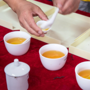坦洋工夫茶是什么茶?