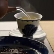 桂林毛尖需要泡多久