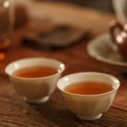 信阳车云山毛尖