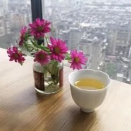峨眉毛峰产地是哪里