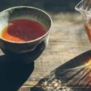 婺源茗眉属于什么茶