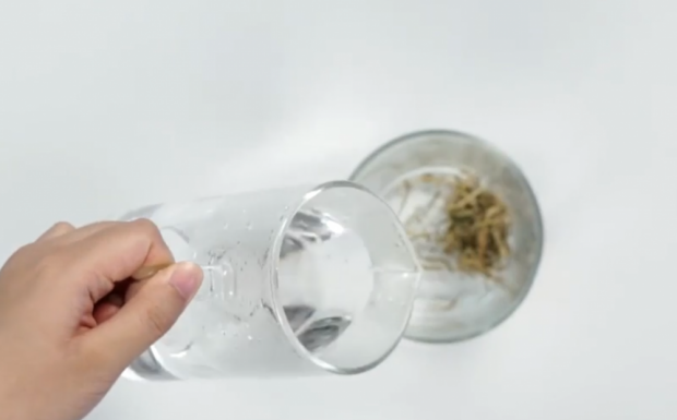 金银花茶怎么泡效果好.png 金银花茶怎么泡效果好.png