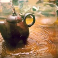 湄潭翠芽是绿茶吗
